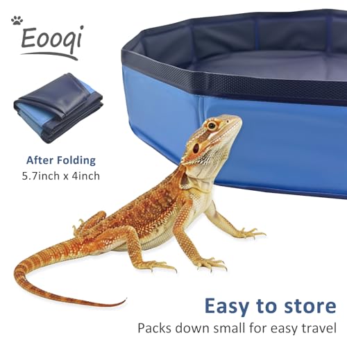 Eooqi Foldable Bearded Dragon Bath Tub, Collapsible Reptile Bath Pool for Lizards, Hedgehogs & Small Pets, Portable Non-Slip Water Tub (Blue, 19 x 3.5 in) | Reinforced Bottom for Added Stability, Ideal for Regular Reptile Grooming