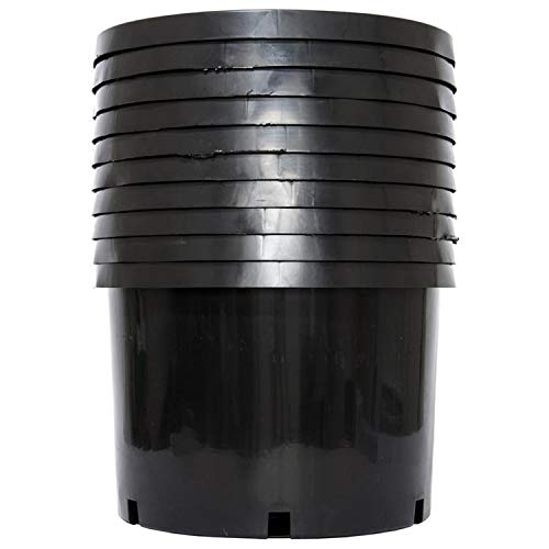 Pro Cal 10 Gallon Premium Nursery Plastic Planter Flower Herb Vegetable Garden Grow Pots with Drainage Holes for Outdoor and Indoor Use, Black, 5 Pack