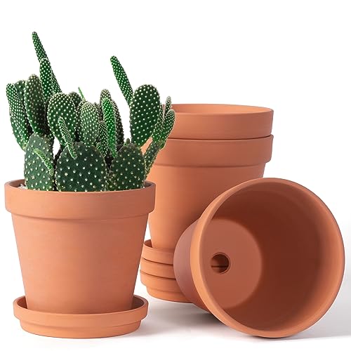 Orceler 6 inch Terracotta & Clay Pots for Plants with Saucer, Medium Terra Cotta Plant Pots with Drainage Hole, Flowerpot with Tray, Terracotta Pot for Indoor Outdoor Plant - Pack of 4 Planters