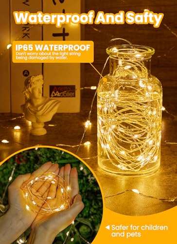 66FT 200 LED Fairy Lights Plug in with Remote, 8 Modes Twinkle Lights