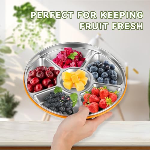 6-Compartment Stainless Steel Serving Tray with Lid - 10-inch Divided Snack/Vegetable/Fruit Tray for Christmas Parties, Snackle Box & Platter Container