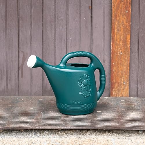 Root & Vessel 30301 Watering Can, 2-Gallon, Hunter Green