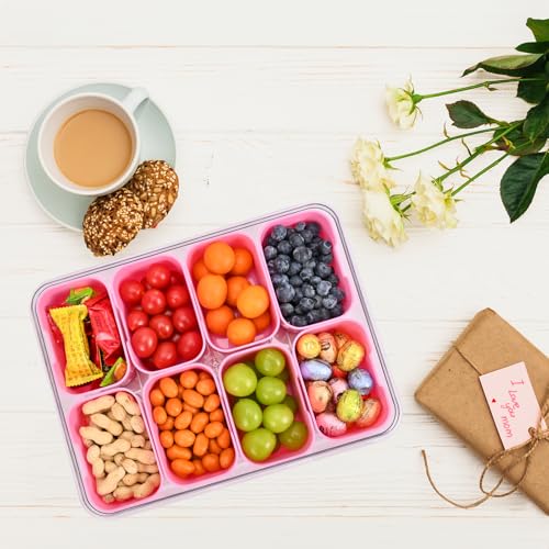 Snackle Box Container, 8 Compartment Divided Serving Tray with Lid and Handle, Snack Box Container for Candy, Fruit and Snacks, Great for Gatherings, Outings, Parties and Entertaining（Pink）