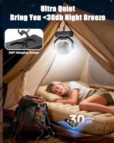 Portable Rechargeable Fan - 9-Inch Camping Fan for Tent, 24000mAh(60Hrs) Battery Operated Fan for Camping, Auto Oscillation Cordless Fans, Tent Fans with Remote/Light, 4 Speeds, 4 Timing, Outdoor