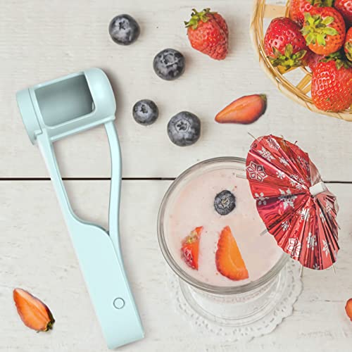 WhiteRhino Grape Cutter Grape Slicer for Toddlers Baby,Grape Cherry Tomato Strawberry Cutter Quarter Slicer tool For Vegetable Fruit Salad Cake Decoration,Stainless Steel kitchen Gadget Fruit cutter