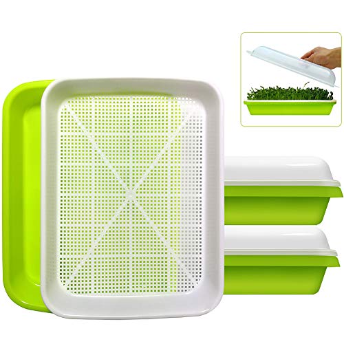 SUNPRO 2-Pack Seed Sprouter Tray with Humidity Lid, BPA Free Food Grade Soil-Free Sprouting Kit, Large Capacity Wheatgrass Grower & Microgreens Germination Station for Beans, Peas, Cat Grass (Green)