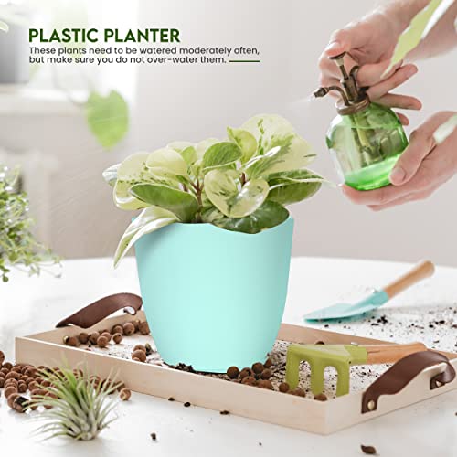 Utopia Home - Plant Pots Indoor with Drainage - 7/6.6/6/5.3/4.8 Inches Flower Pots for Indoor Planter - 5 Pack Plastic Planters - Ideal