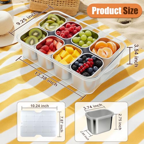 Snackle Box Container with Ice Pack, 304 Stainless Steel Divided Serving Tray, Snacklebox with Insulated Bag, 8 Compartment Platter Box with Lid and Handle for Beach, Road Trip, Boat Days, Pool Party