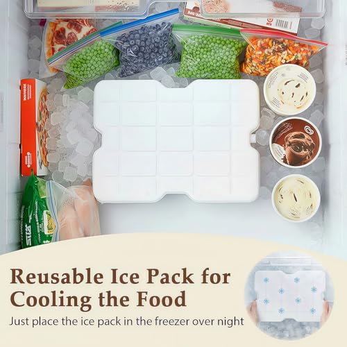 Snackle Box Container with Ice Pack Stainless Steel,Portable Snack Boxes with Lid and Insulated Bag,8 Compartment Snackle Storage Divided Serving Tray Beach Road Trip Picnic for Fruit Charcuterie