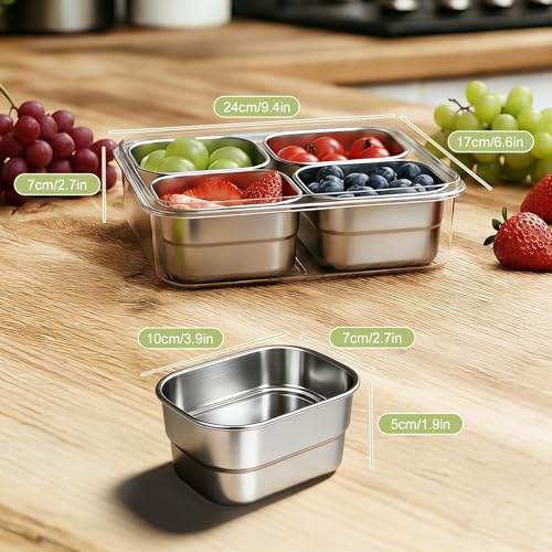 Snackle Box Container,Clear Divided Serving Snack Tray with 4 Removable Stainless Steel Containers for Fruit Veggie Candy,Snack Tray with Lid Leak-Proof for Wet/Dry Food-Perfect for Beach,Picnic