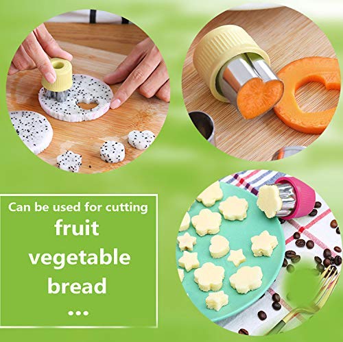 9 pcs Cookie Cutters Cutter Shapes Set Different Sizes Set Fruit Cutter Cookie Pastry Stamps Mold,Cake Pop,Sandwich,Grape
