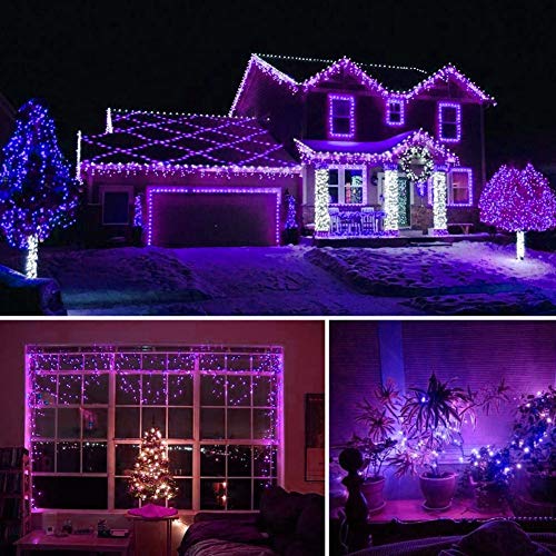 HOME LIGHTING 66ft Halloween Decorative Mini Lights, 200 LED Green Wire Fairy Starry String Lights Plug in, 8 Lighting Modes, for Indoor Outdoor Xmas