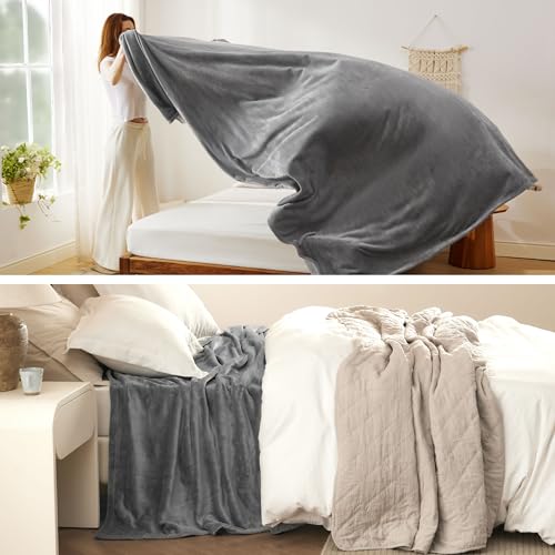 Bedsure GentleSoft Fleece Bed Blankets Queen Size Grey - Soft Warm Spring Blanket Lightweight Cozy Anti-Static Microfiber, Room Home Decor Gifts for Women and Men, 90x90 inches