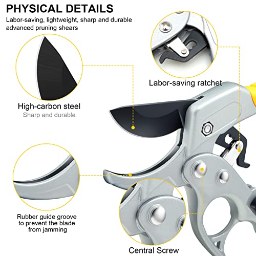 Premium Germany Pruning Shears, Work 3 Times Easier, Pruners Heady Duty, Sharp Garden Clippers Cut Fresh Flower, Hedge, Herb, Indoor Plants, Gardening Tools Scissors, Arthritis Weak Hand Snips