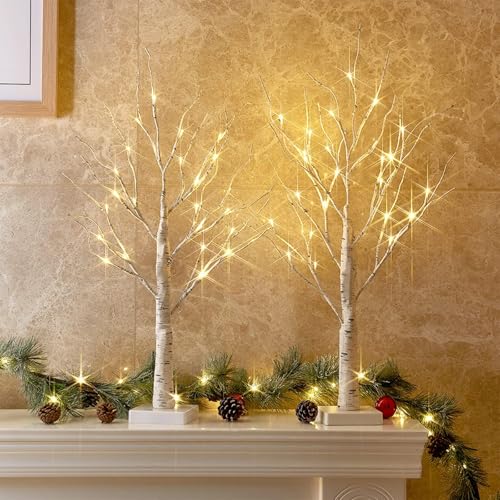PEIDUO Christmas Decorations, 2FT Birch Tree with LED Lights, Warm White Light up Tree Lamp, Artificial Trees for Home Table Inside, Battery Powered