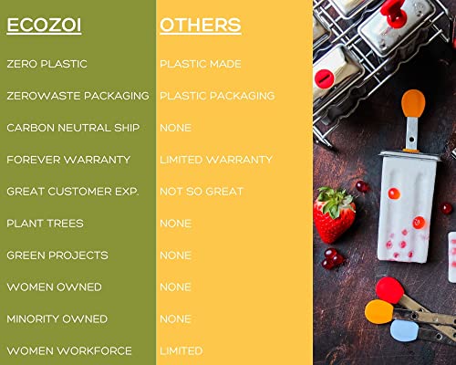 Ecozoi Stainless Steel Popsicle Molds, 6 Ice Popsicle Makers, 6 Stainless Steel Sticks, 12 Silicone Seals and 1 Coconut Cleaning Brush, Eco Popsicle Molds for Kids and Adults, 4 oz Per Mold (Round)