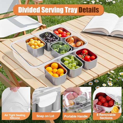 Snackle Box Container with Ice Pack, 304 Stainless Steel Divided Serving Tray, Snacklebox with Insulated Bag, 8 Compartment Platter Box with Lid and Handle for Beach, Road Trip, Boat Days, Pool Party