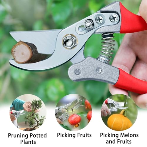 Kynup 8.6" Pruning Shears for Gardening, Garden Shears, Clippers, Garden Scissors, Pruners for Gardening, Heavy Duty Gardening Tools, Stainless Steel Pruners