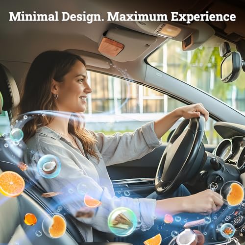 Car Air Freshener - Wood Air Freshener - Car Odor Eliminator for Visor Clip-Variety Scent Refill, Vehicle Scent Diffuser for Cabin, Truck & SUV - Pack of 4 (Teak-Amber-Cabana-Open Air)-CLIP INCLUDED