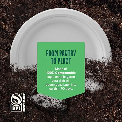 100% Compostable Disposable Paper Plates [125-Pack] - (PFAS-Free) - [10 Inch] Heavy Duty, Eco-Friendly, Biodegradable Bagasse Dinner Plates - Natural Brown 10" Plate by Stack Man (BPI Certified)