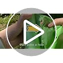 Small Trash Bags 4-6 Gallon, Inwaysin 200 Count Biodegradable Trash Bags 4 Gallon, Extra Strong Small Garbage Bags Unscented, Size Expanded, Green, for Bathroom Bedroom Office Kitchen Trash Can