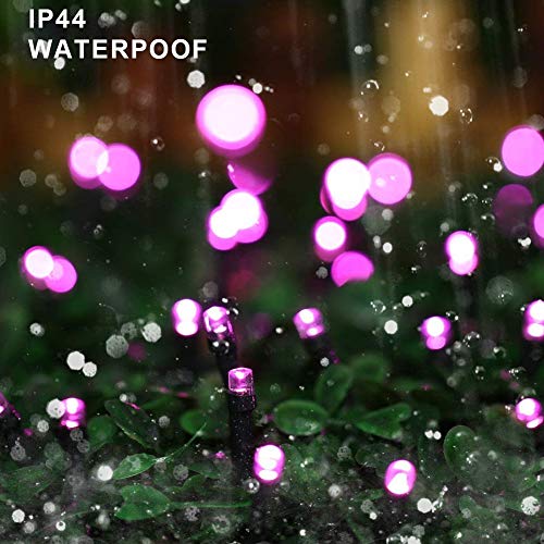 HOME LIGHTING 66ft Halloween Decorative Mini Lights, 200 LED Green Wire Fairy Starry String Lights Plug in, 8 Lighting Modes, for Indoor Outdoor Xmas