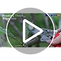 Kynup 8.6" Pruning Shears for Gardening, Garden Shears, Clippers, Garden Scissors, Pruners for Gardening, Heavy Duty Gardening Tools, Stainless Steel Pruners