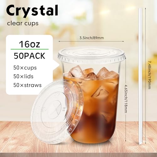 Ziliny 50 Sets Clear Plastic Cups with Lids and Straws, Disposable Iced Coffee Cups Drinking PET for Cold Drinks, Juice, Smoothie, Coffee Shops, Party, Christmas (16 oz,Clear)