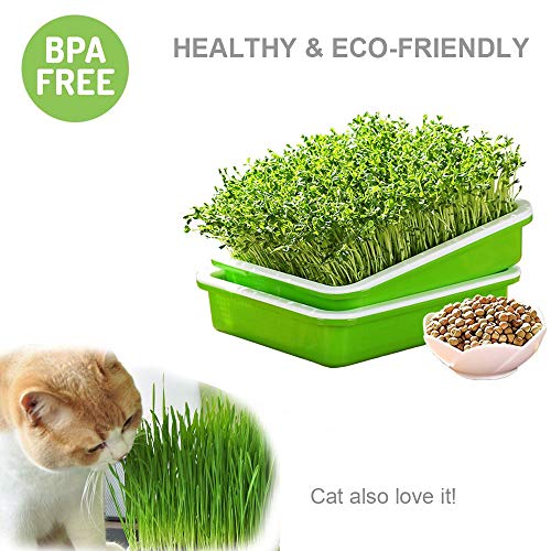 SUNPRO 2-Pack Seed Sprouter Tray with Humidity Lid, BPA Free Food Grade Soil-Free Sprouting Kit, Large Capacity Wheatgrass Grower & Microgreens Germination Station for Beans, Peas, Cat Grass (Green)