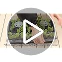 Gardzen 5-Set Seed Starter Tray Kits, Durable Plant Germination Trays with Humidity Vented Domes and Bases, Ideal for Seed Starting, Indoor Gardening, and Greenhouse (Total 200 Cells)