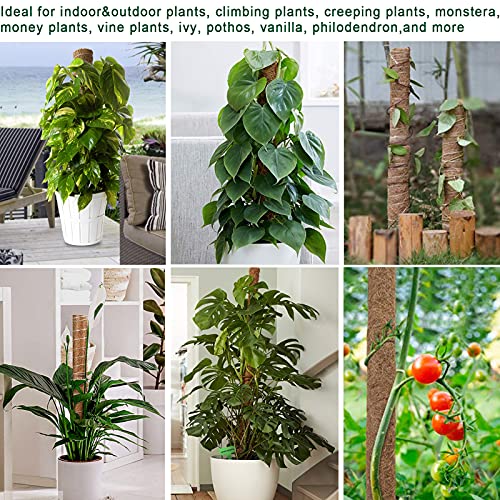 Fabulas Moss Pole 47.5 Inch - Monstera Plant Support, 4 Packs 16 Inch Plant Stakes for Indoor Plants Coco Coir Moss Pole Sticks for Climbing Potted Live Plants, Pothos, Philodendron, with Garden Ties