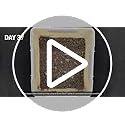 Dixie Ultra, Large Paper Plates, 10 Inch, 172 Count (4 packs of 43 plates), 3X Stronger*, Heavy Duty, Microwave-Safe, Soak-Proof, Cut Resistant, Disposable Plates For Heavy, Messy Meals