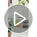 ProKeeper Produce Container, 3-Quart – Stay-Fresh Vent System for Small Peppers and Tomatoes, BPA-Free