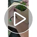 Herb Stripper, Jiaedge Green 9 holes Stainless Steel Kitchen Herbs Leaf Stripping Tool, Metal Herb Peeler for Kale, Collard Greens, Thyme, Basil, Rosemary Stripper