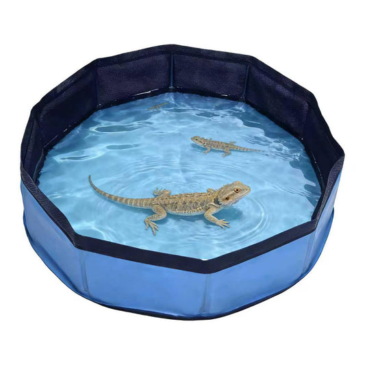 Eooqi Foldable Bearded Dragon Bath Tub, Collapsible Reptile Bath Pool for Lizards, Hedgehogs & Small Pets, Portable Non-Slip Water Tub (Blue, 19 x 3.5 in) | Reinforced Bottom for Added Stability, Ideal for Regular Reptile Grooming