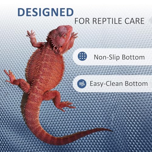 Eooqi Foldable Bearded Dragon Bath Tub, Collapsible Reptile Bath Pool for Lizards, Hedgehogs & Small Pets, Portable Non-Slip Water Tub (Blue, 19 x 3.5 in) | Reinforced Bottom for Added Stability, Ideal for Regular Reptile Grooming