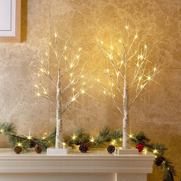 PEIDUO Christmas Decorations, 2FT Birch Tree with LED Lights, Warm White Light up Tree Lamp, Artificial Trees for Home Table Inside, Battery Powered