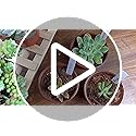 TDHDIKE 4" Small Plastic Plant Nursery Pot/Pots (100pcs) Seedlings Flower Plant Container Seed Starting Pots , Come with 100pcs Plant Labels