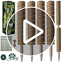 Fabulas Moss Pole 47.5 Inch - Monstera Plant Support, 4 Packs 16 Inch Plant Stakes for Indoor Plants Coco Coir Moss Pole Sticks for Climbing Potted Live Plants, Pothos, Philodendron, with Garden Ties