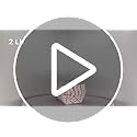 Stock Your Home Medium Paper Food Boats (100 Pack)