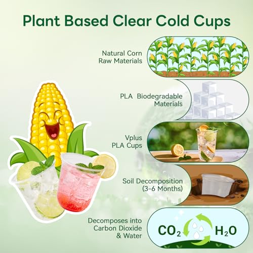 Vplus 12 oz Compostable Clear Plastic Cold Cups, 100 Pack